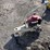 2011-edco-tmc7-5.5h-7in-gas-edge-grinder-image-4