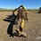 dika-wr548-5-wheel-root-rake-image-2