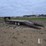 2008-doolittle-image-10