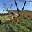 sheyenne-1410-image-5