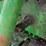 john-deere-6310-image-47