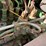 deere-703jh-image-28