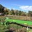 2011-john-deere-956-image-4
