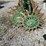 john-deere-400-image-2