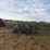 summers-mfg-supercoulter-image-2