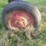 farmall-cub-with-sickle-mower-image-12