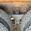 kenworth-t800-image-58