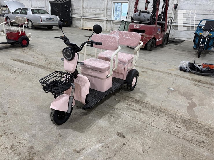 2026-irgc40-mini-golf-cart-#3-(pink)-10090-image-1