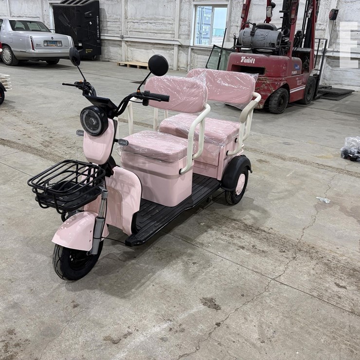 2026 IRGC40 MINI GOLF CART #3 (PINK) 10090