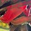 deere-703jh-image-12