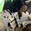 2013-john-deere-db60-image-15