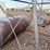 farm-fuel-tank-with-stand-image-8