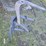 bobcat-630-image-54