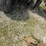 1998-john-deere-1560-image-11