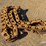 d8-ripper-shanks-&-track-rails-image-5