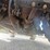 2021-new-holland-ts6.110-image-95