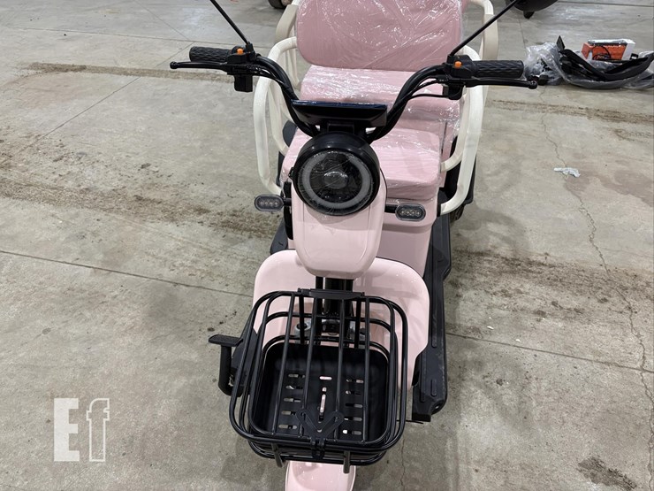 2026-irgc40-mini-golf-cart-#3-(pink)-10090-image-9