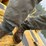 john-deere-6-image-36