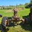 #2527-•-bf-avery-tractor-image-4