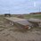 2008-doolittle-image-4