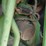 john-deere-6310-image-19