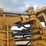 caterpillar-613-image-47