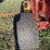 2008-new-holland-br7090-image-22