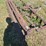 #2544-•-roseman-trip-13-3pt-rake-image-12