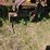 #2539-•-lely-ts-sb150-rotivator-seeder-image-13
