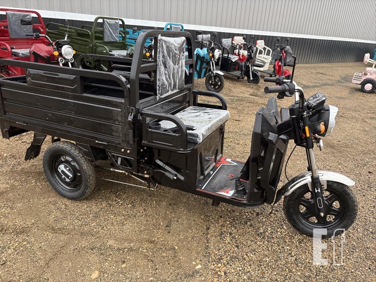 2026-iret13-electric-tricycle-#4-(black)-10094-image-4