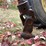 new-holland-488-image-11