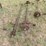 trailer-axles,-4pcs-medium-duty-image-2