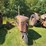 #2527-•-bf-avery-tractor-image-8