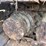 john-deere-6-image-63