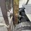 #3332-•-clark-it40b-forklift-image-40