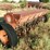 drill,-international-harvestor-16-hole-image-2