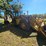 #2533-•-bucyrus-erie-200-4-series-iii-dynahoe-backhoe-image-1