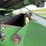 2009-john-deere-9770-sts-image-74