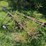 #2540-•-roseman-3pt-rake-image-1