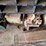 large-wooden-workshop-parts-storage-cubby-unit-with-assorted-hardware-and-supplies-image-9