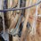 assorted-workshop-tools,-rakes,-jack,-and-welding-equipment-lot-image-7