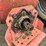 ford-8n-image-30