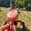 allis-chalmers-b-image-13
