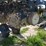 kinze-3500-image-9