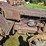 #2530-•-1939-case-c-tractor-image-15