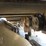 1998-komatsu-pc1100-lc-6-image-7