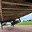 #128-•-lot-128-image-11