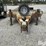 2002-felling-de-292-tri/a-flatbed-trailer-for-parts-image-2