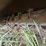 loftness-240sh-image-9