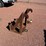 #135-•-lot-135-image-3